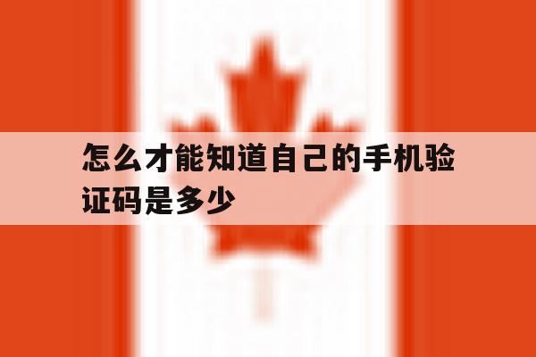 怎么才能知道自己的手机验证码是多少 怎么才能知道自己的手机验证码是多少