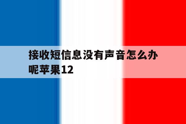 接收短信息没有声音怎么办呢苹果12 接收短信息没有声音怎么办呢苹果12